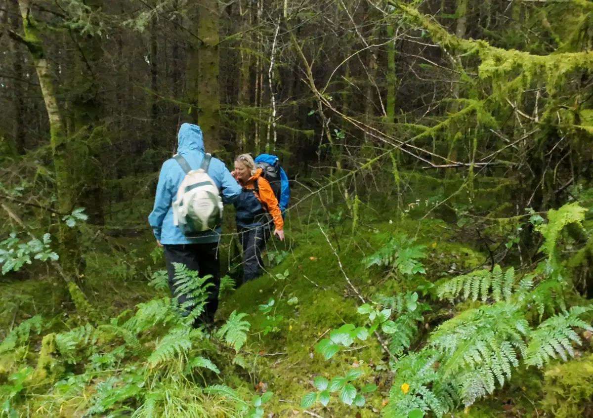Two women in waterproofs making their way through a mossy, fern-filled forest